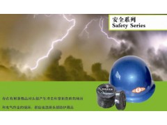 雙安防護 “安全牌”系列產品