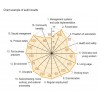 Chart example of audit results, Seven & I 控股公司(SEVEN & I HOLDINGS) CSR Report 2012