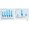 Intel Recordable and Days Away Case Rates 全球及中國區(qū)  CSR_2012_Full-Report