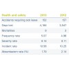 Health & Safety Performance Gas Natural Fenosa 2013 CSR Report