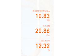 安全環(huán)境績效 中國建筑材料集團(tuán)有限公司2018年社會責(zé)任報告